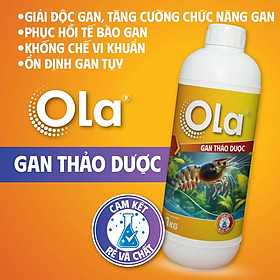 OLA - GAN THẢO DƯỢC: Tăng cường chức năng gan, phục hồi tế bào gan, ổn định gan tụy