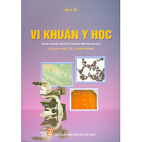 Vi Khuẩn Y Học (Dùng cho đào tạo Bác sĩ và Học viên Sau đại học)