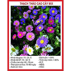 Hạt giống Hoa thạch thảo cao Mix Màu ( 50Hạt/gói )