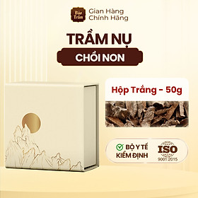 Nụ Trầm Hương Bảo Trầm, Chồi Non Cao Cấp 50g
