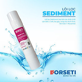 LÕI LỌC SEDIMENT - FORSETI