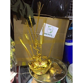 Mua ( lựa mẫu lá)combo cây cao 40cm cây tài lộc cây kim tiền