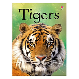 Usborne Tigers