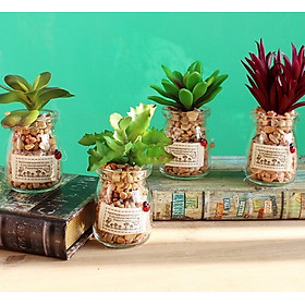 Mua Lọ Thủy Tinh mini Trang Trí Cao 7.0cm ( Lọ Trơn không phụ kiện ) | PL.100
