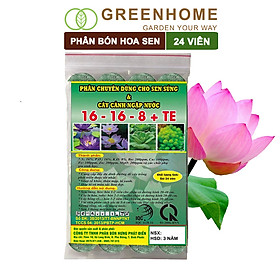 Mua Phân bón hoa Sen  vỉ 24 viên  cây thuỷ sinh  ngập nước  cho hoa to  hoa đậm màu  lâu tàn  tốt lá |Greenhome
