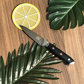 Dao bếp XYj VG10 Damascus G10
