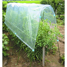 Mua MÀNG NYLON PHỦ TRỒNG RAU ĂN LÁ 2.0*10M