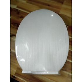 Mua Nắp bồn cầu 1 khối đóng (rơi) êm màu trắng (nặng 1 4kg