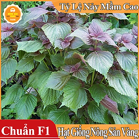 Mua Hạt giống Rau Tía Tô ( Gói 2 Gram ) - Nông Sản Vàng
