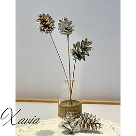 Mua Quả thông khô trang trí decor