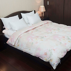 Mua -	Ruột Chăn Lông Ngỗng Tự Nhiên MINSON  Siêu Nhẹ Và Thoáng Giúp Tăng Tuần Hoàn Máu Không Mệt Mỏi Sau Khi Ngủ Dậy  Chăn Cực Mềm Mại Với Vải Chống Trồi Downproof