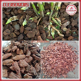 1kg Vỏ thông mài cạnh Size nhỏ dưới 1cm dùng để trồng hoa lan, làm giá thể, làm đất trông, rải bề mặt
