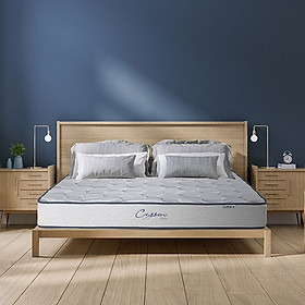 Mua Nệm Lò Xo Liên Á CASSARO FIRM
