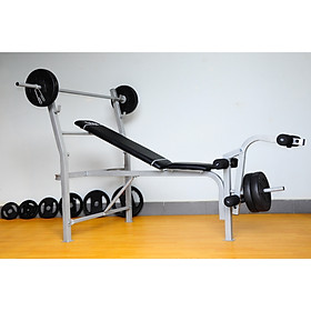 Ghế tạ 601401 Vifa Sport