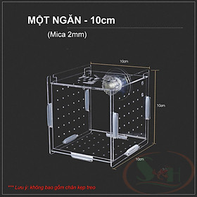 Box mica DIY hít treo đa năng lồng tách dưỡng cây cá tép