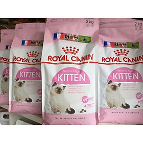 royal canin kitten hạt cho mèo con