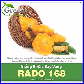 Hạt Giống Bí Đĩa Bay Vàng Sai Trái