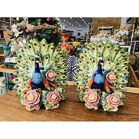 Mua chim công  đang múa