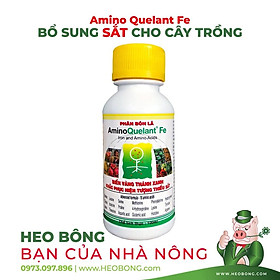 Phân bón lá ĐẠM SINH HỌC - Amino Quelant Fe cao cấp - Bổ sung sắt - biến vàng thành xanh (Chai 100ml)