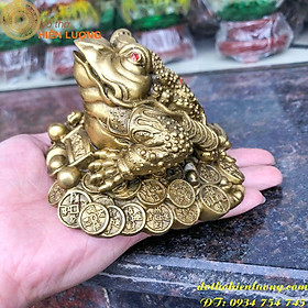 Mua Tượng Thiềm Thừ Trung-Cóc 3 Chân Ngậm Tiền Cao 9cm- TT2