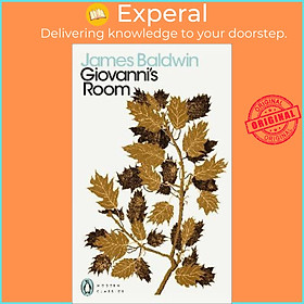 Sách - Giovanni's Room by James Baldwin (UK edition, paperback)