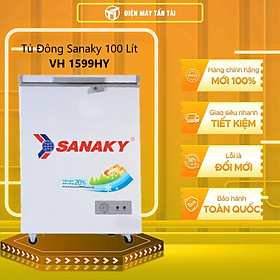 TỦ ĐÔNG MINI SANAKY 100 LÍT VH-1599HY ĐỒNG (R600A) - CHỈ GIAO HCM