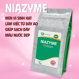 MEN VI SINH HẠT LÀM VIỆC TỪ ĐÁY GIÚP SẠCH ĐÁY, ĐẸP MÀU NƯỚC,NGĂN NGỪA HÌNH THÀNH TẢO XANH NIAZYME