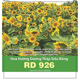 Hạt Giống Hoa Hướng Dương Tháp Siêu Bông Rado 926 - 2gr - Rạng Đông - Trồng Quanh Năm, Cây Cho Hoa Sau 12 Tuần Gieo