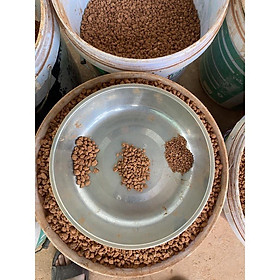 Mua  Tặng kèm 200gr phân bón  0 5kg Akadama Đất nung Nhật Bản -ươm trồng sen đá  xương rồng  bonsai  phân nền thủy sinh