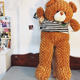 Thú bông Gấu Teddy màu nâu - Khổ vải 1M6 cao 1M4