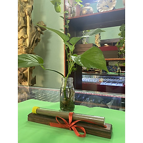 Mua Combo Gồm #1 ống nhang Trầm Hương cao cấp và #1 hộp đốt thanh nhang bằng gỗ hương cao cấp