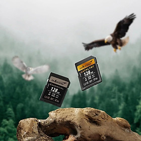 Thẻ nhớ máy ảnh SD Exascend Catalyst V30 U30 256GB đọc 180MB/s ghi 150MB/s hàng chính hãng BH 5 NĂM