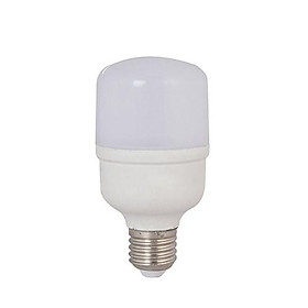 Bóng đèn LED TRỤ 12W Rạng Đông, Chip LED Sam Sung