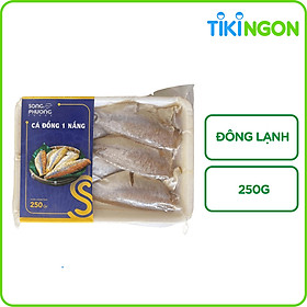 Cá Đổng 1 Nắng Đông Lạnh Song Phương 250gr