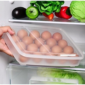 Mua khay đựng trứng 24 quả 2795 SONGLONG