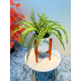 Chậu gốm trụ trắng trồng cây Lan Decor 19cm, 22cm, 26cm, 30cm
