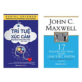 Combo Sách Hay Về Kỹ Năng Làm Việc: Trí Tuệ Xúc Cảm Ứng Dụng Trong Công Việc + 17 Nguyên Tắc Vàng Trong Làm Việc Nhóm