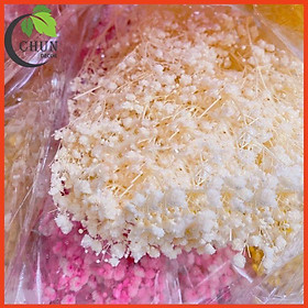 Mua Hoa Giả  Bó Hoa Khô Baby Bloom Trang Trí  Làm Đạo Cụ Chụp Ảnh