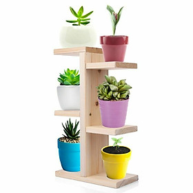Mua Kệ gỗ thông tự nhiên để bàn đựng chậu hoa  cây cảnh mini đồ lưu niệm sang trọng