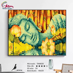 Mua Tranh tô màu theo số sơn dầu số hóa TN0828 Tranh Đức Phật hoa sen