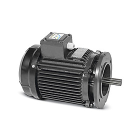 Motor quạt nước ao tôm Sagar 1.5kW 4P 3 pha 380V 50Hz IE2 Class H- Hàng chính hãng