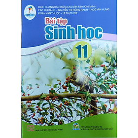 Bài tập Sinh học lớp 11 (Bộ sách Cánh Diều)