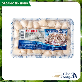 Chỉ Giao HCM - Cồi sò điệp size 60-80 Hải Nam 200gr