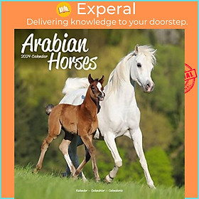 Sách - Arabian Horses Calendar 2024  Square Horses Wall Calendar - 16 Month by  (UK edition, paperback)