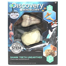 Đồ Chơi Giáo Dục STEM 1423004791 - Shark Teeth Unearthed - Bộ Khảo Cổ Truy Tìm Răng Cá Mập