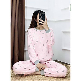Đồ Mặc Nhà, Bộ Nữ Thu Đông Chất Nỉ Dài Tay Họa Tiết Hoạt Hình, Vải Đẹp, May Kỹ