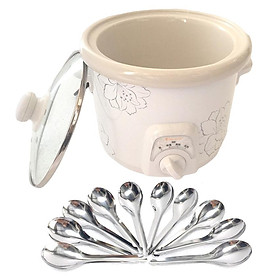 Mua Nồi tiềm yến  nấu cháo ... DDG-15A 1 5L Nắp kính cao cấp + Tặng kèm 10 muỗng súp inox