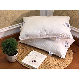 Mua CHIẾU LỤA ĐIỀU HÒA M6x2M Màu Nâu.Tặng Kèm 2 Vỏ/Áo Gối Nằm.Mát Mẻ Không Gây Bí Lưng.Dễ Dàng Gấp Gọn.Evily1990