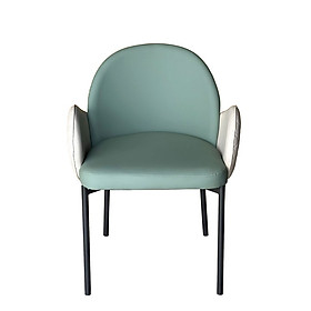 Mua Ghế phòng ăn nhập khẩu ECO 32A-P Nội thất Capta Ghế bàn ăn có tay lưng tựa bo cong nệm da PU cao cấp màu chủ đạo nâu bò xanh ngọc xám chân sắt sơn tĩnh điện