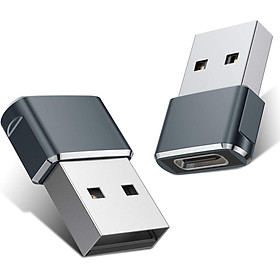 Bộ 2 đầu chuyển đổi USB C sang USB đực (xám)